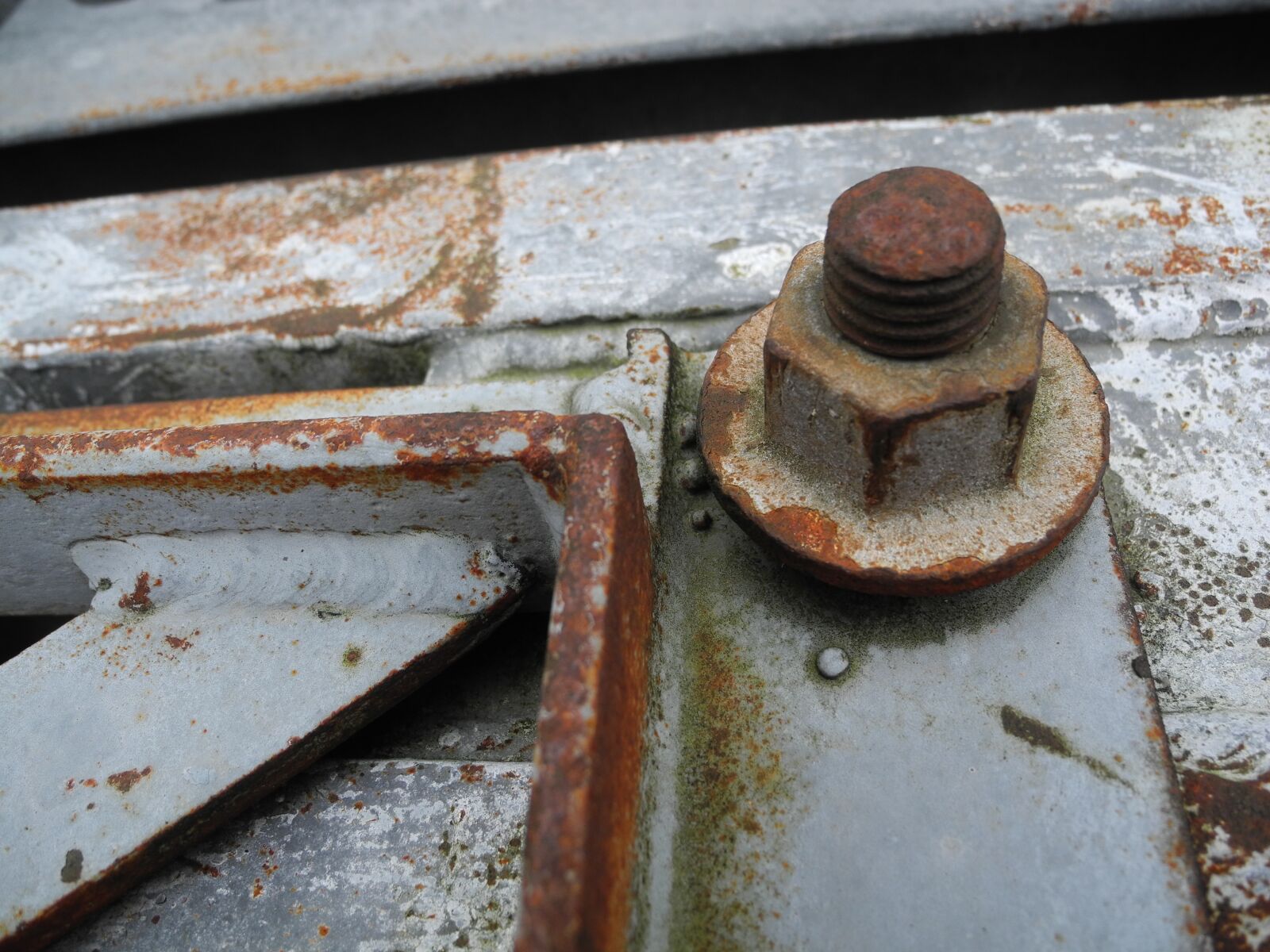 Nikon Coolpix P7000 sample photo. Screw, rust, technology photography