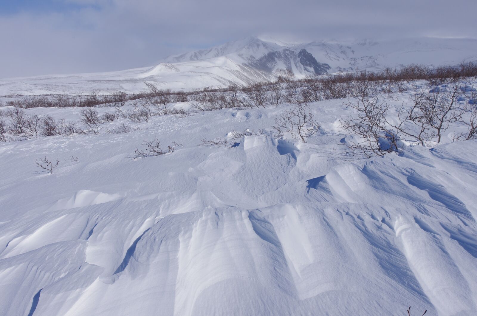 Pentax K-5 sample photo. Winter, snow, cold photography
