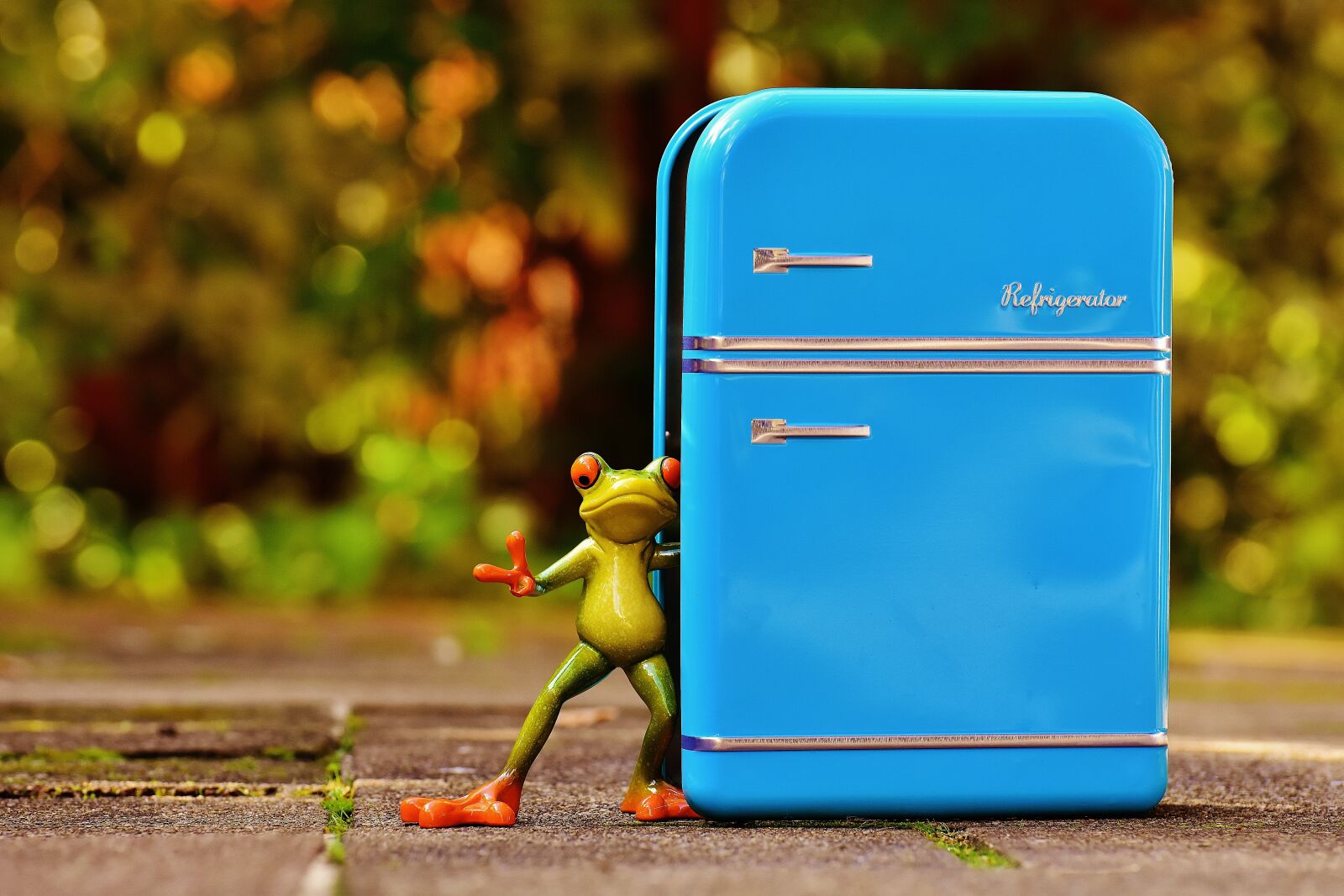 Nikon D7200 sample photo. Frog, refrigerator, blue photography