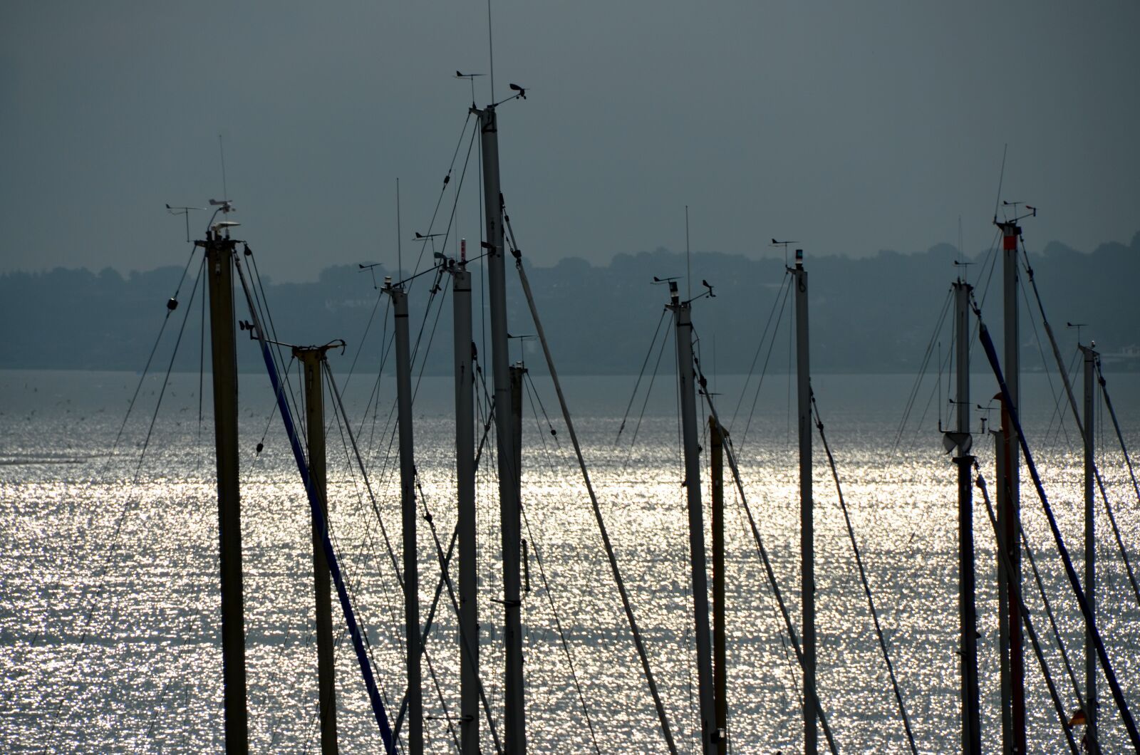 Nikon D5100 sample photo. Sail, sea, sailing vessel photography