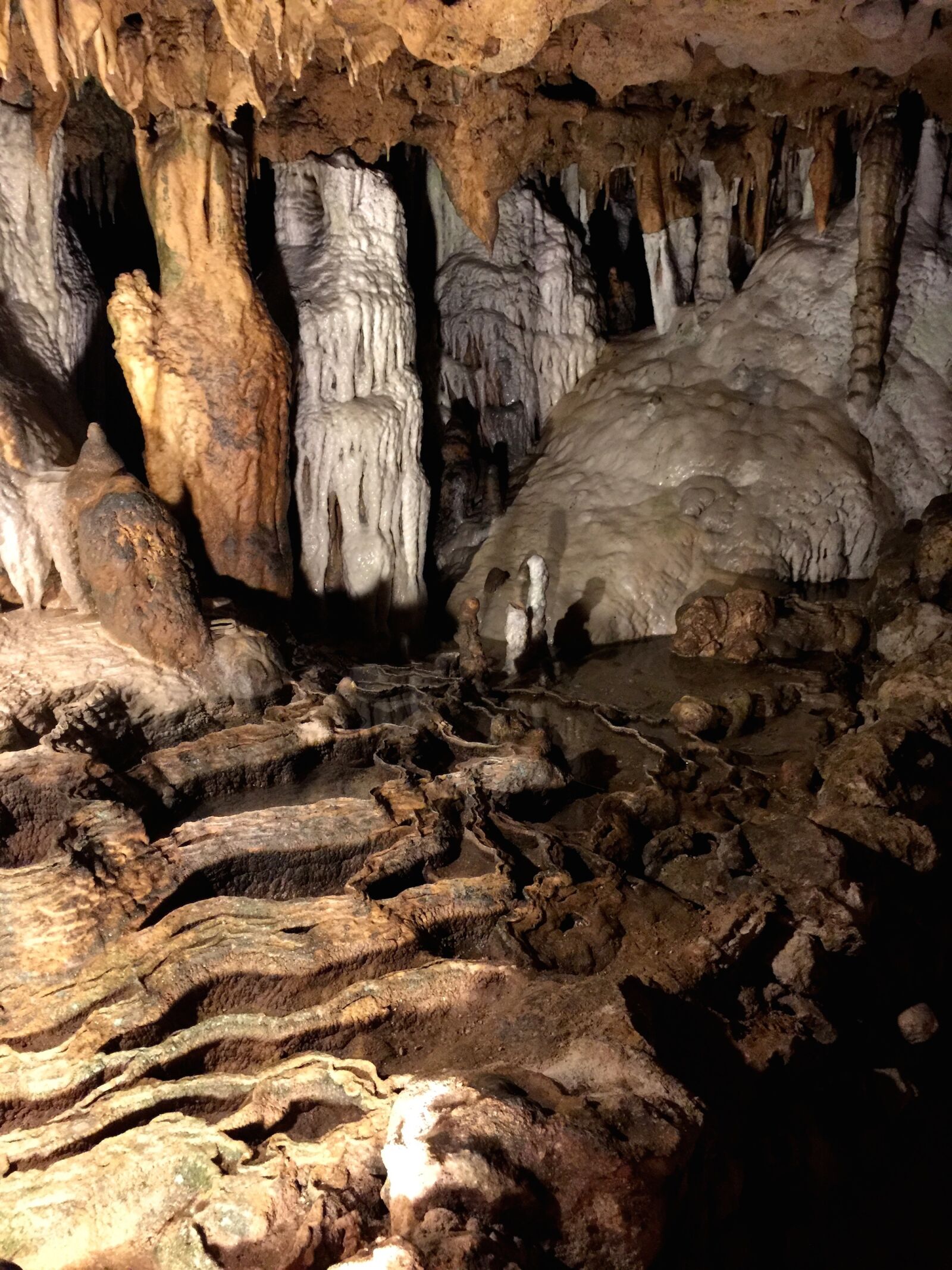 iPhone 6 Plus back camera 4.15mm f/2.2 sample photo. Cave, fossil, underground photography