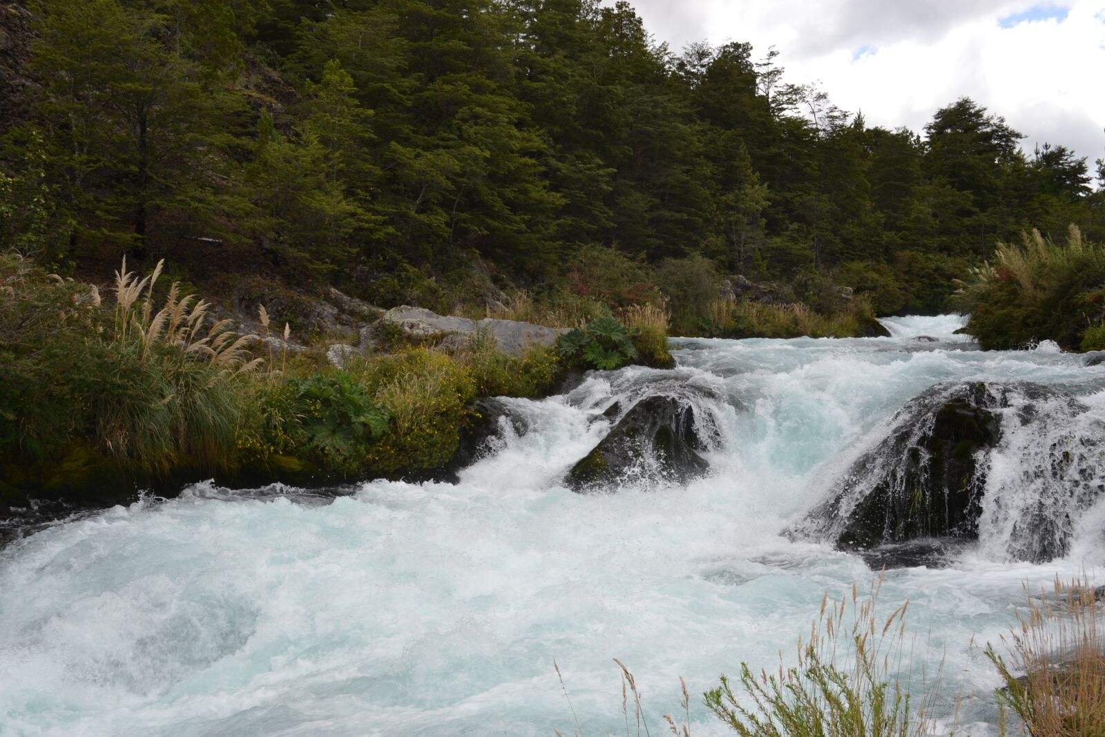 Nikon D3100 sample photo. River, nature, landscape photography