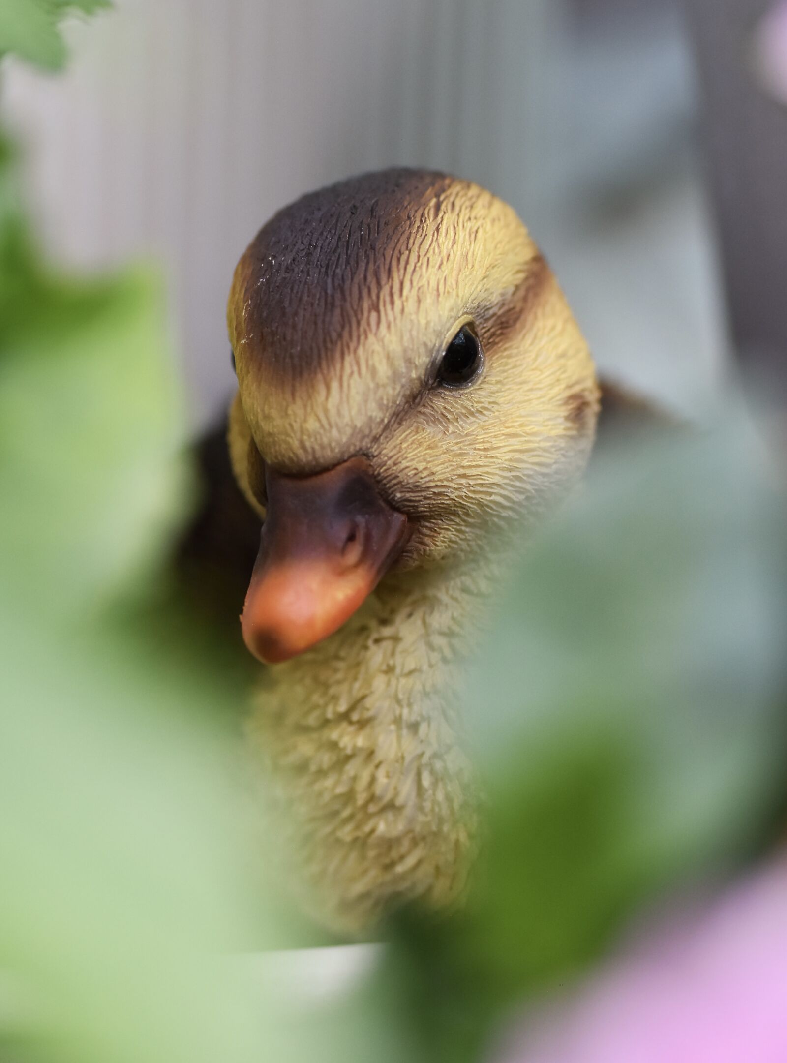 Nikon D7200 sample photo