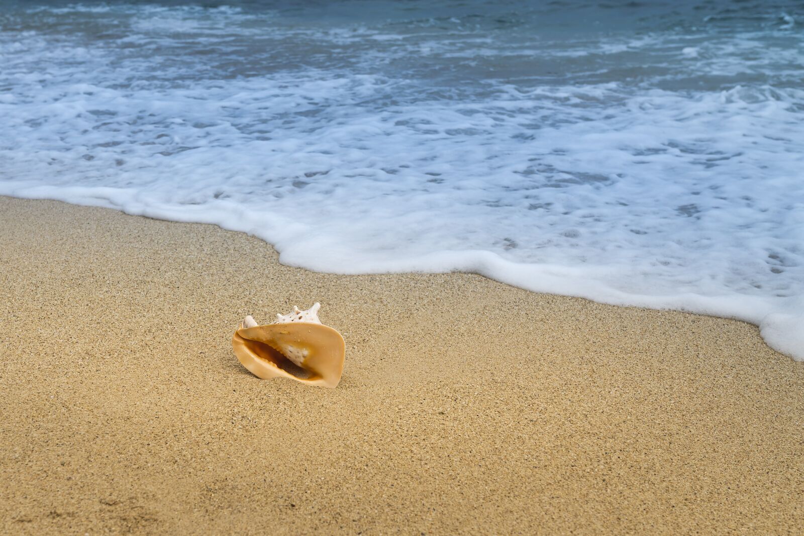Sony a7R II + Sony FE 24-70mm F2.8 GM sample photo. Background, the beach, nice photography