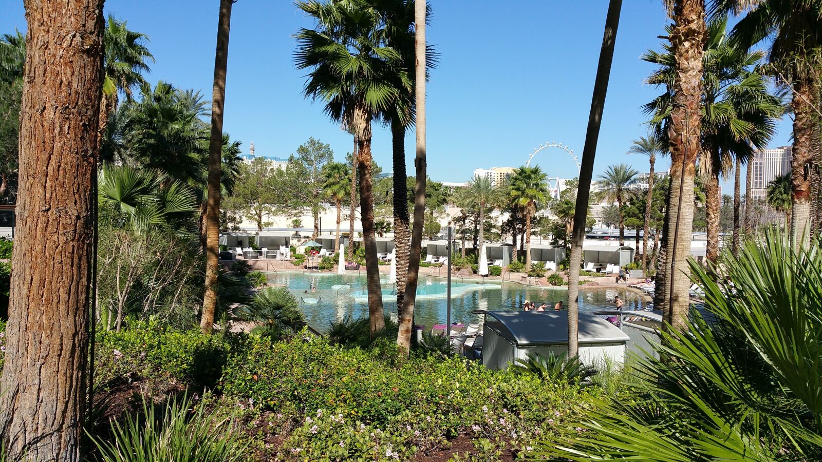 Samsung Galaxy Note4 sample photo. Pool side, water, palm photography