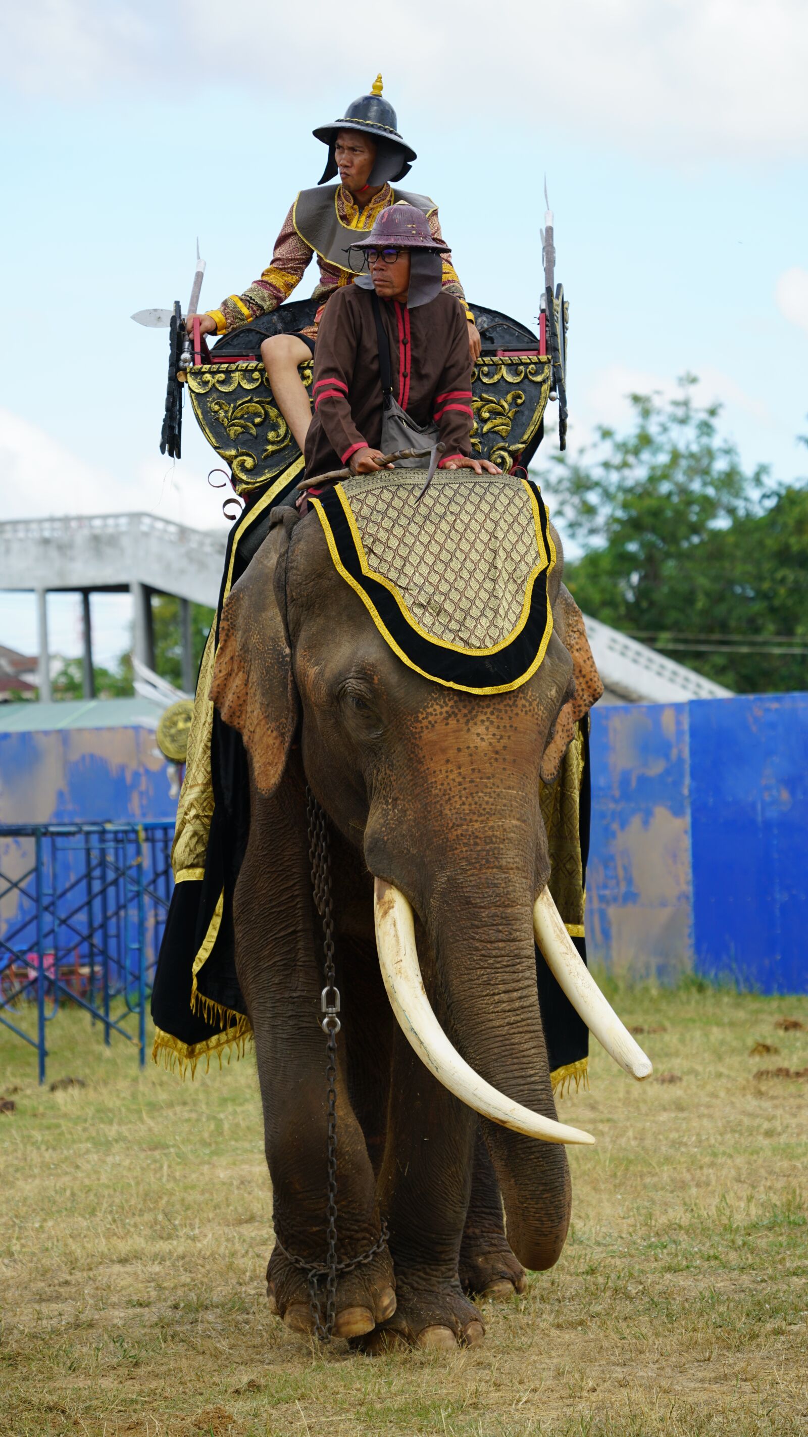 Sony a7R II + Sony FE 70-300mm F4.5-5.6 G OSS sample photo. Elephant, tusks, warrior photography