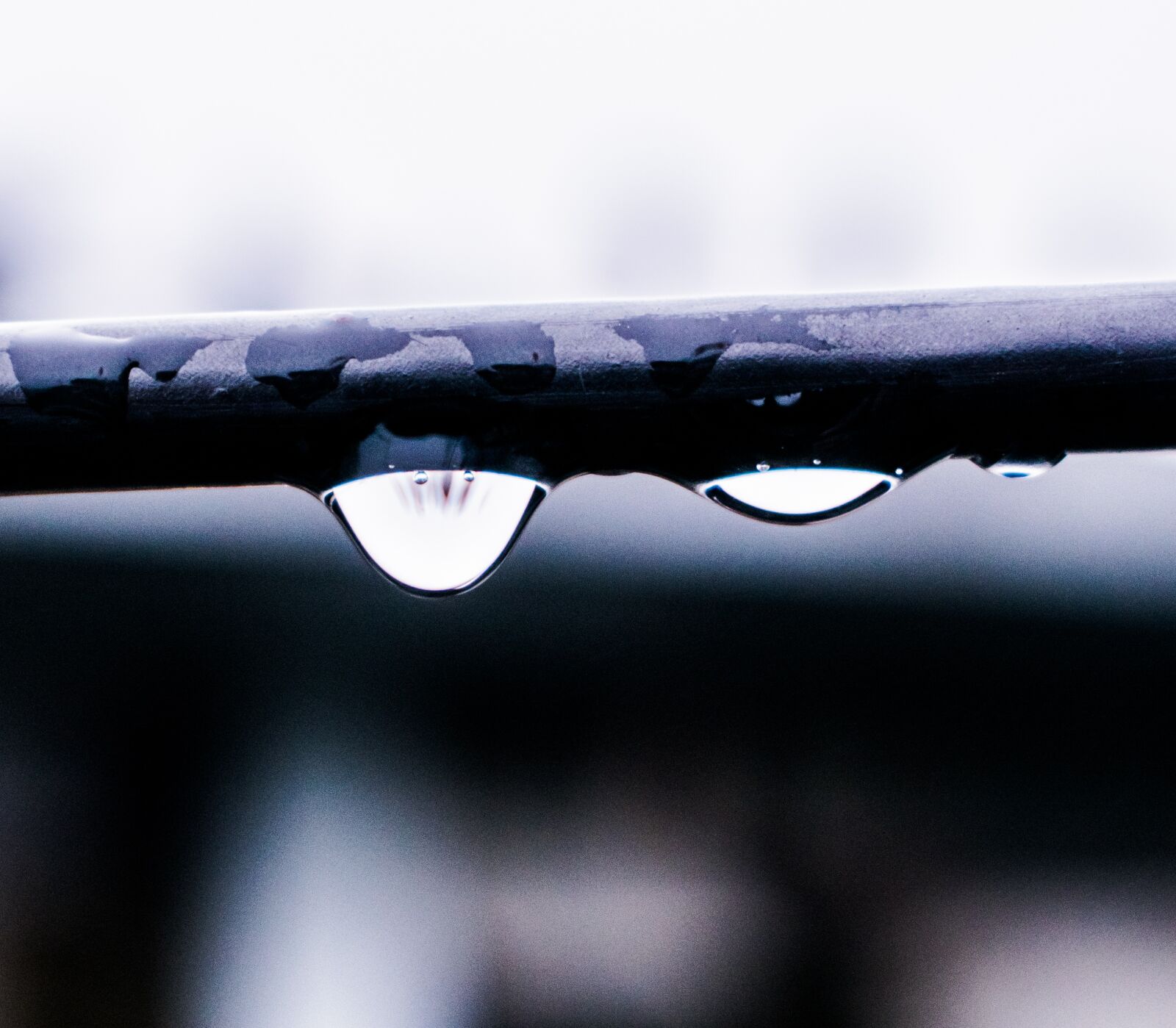 Nikon D3300 sample photo. Dew, drops, water photography