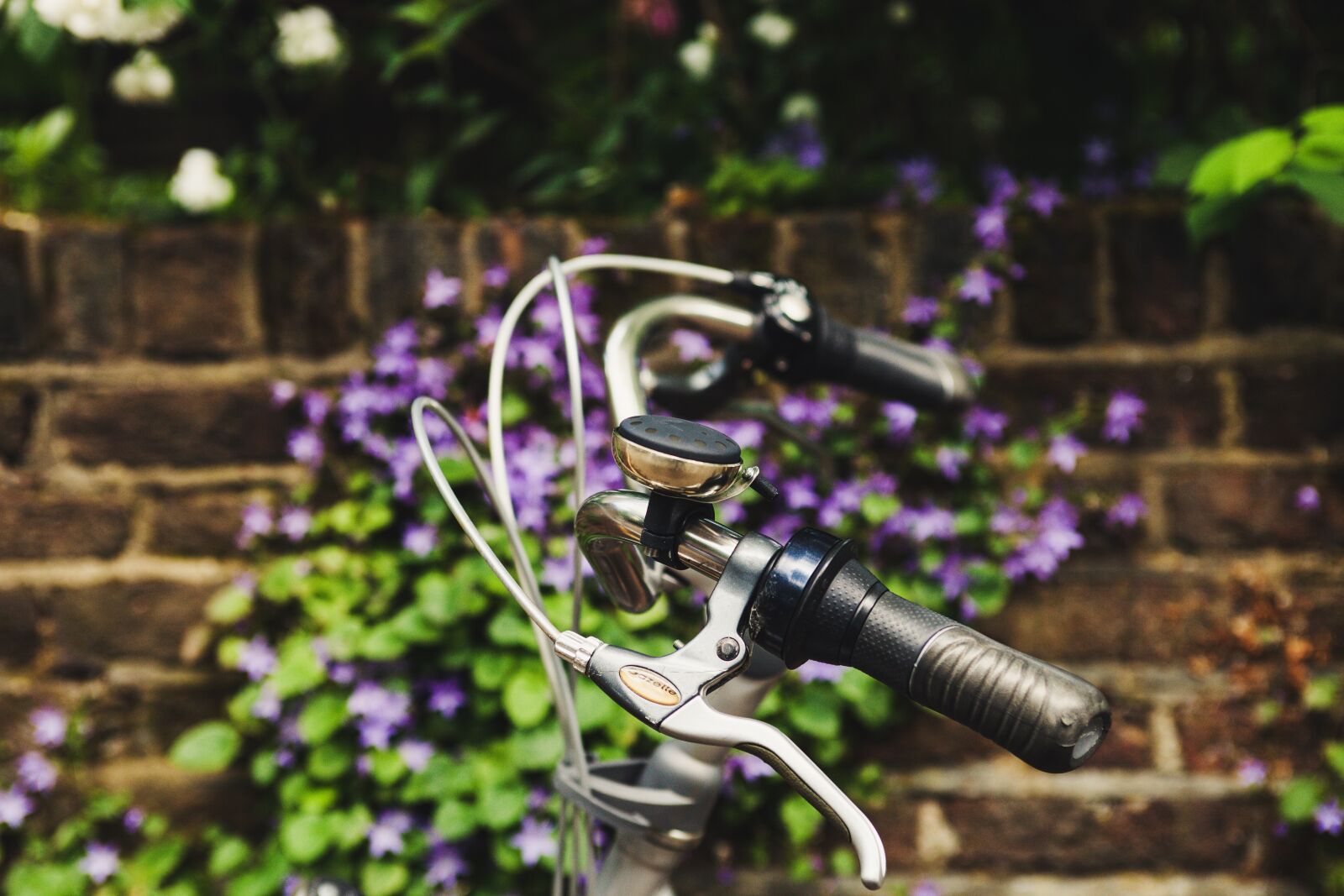 Canon EOS 5D Mark II + EF28-70mm f/2.8L USM sample photo. Beautiful, bell, bicycle photography