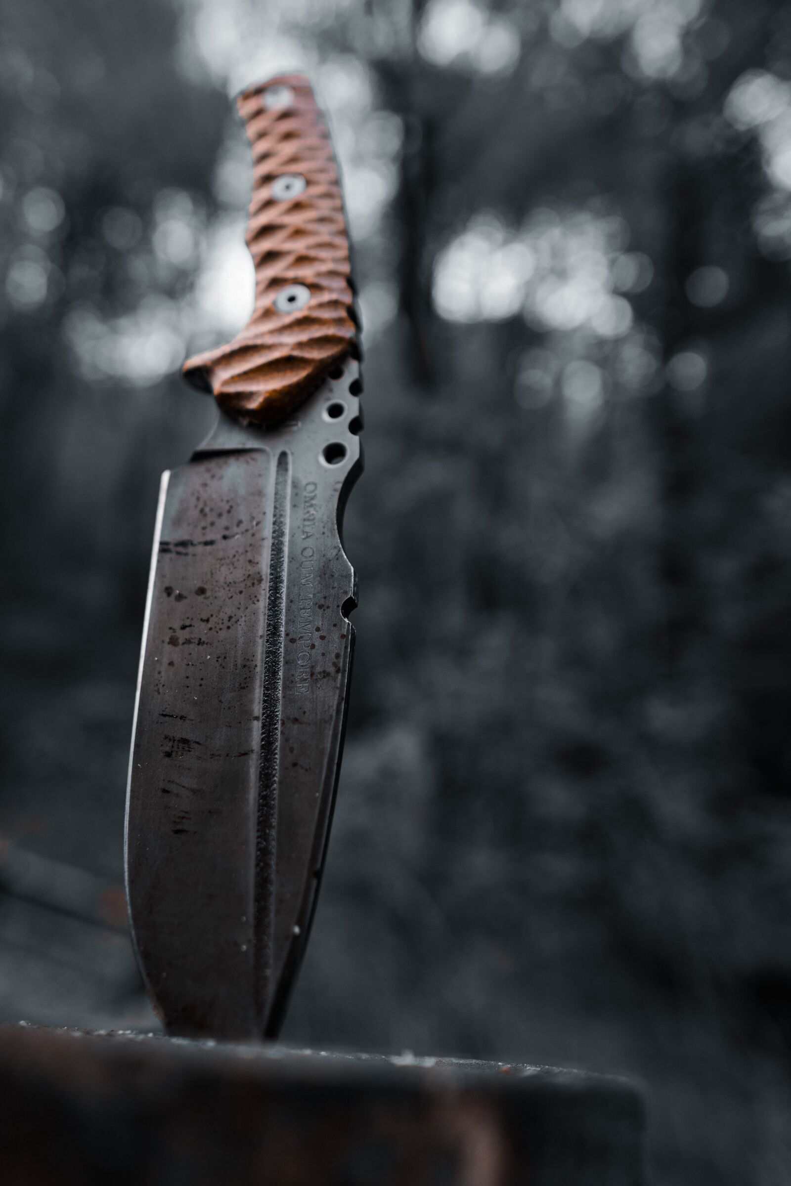 Sony a6400 sample photo. Knife, forest, nature photography