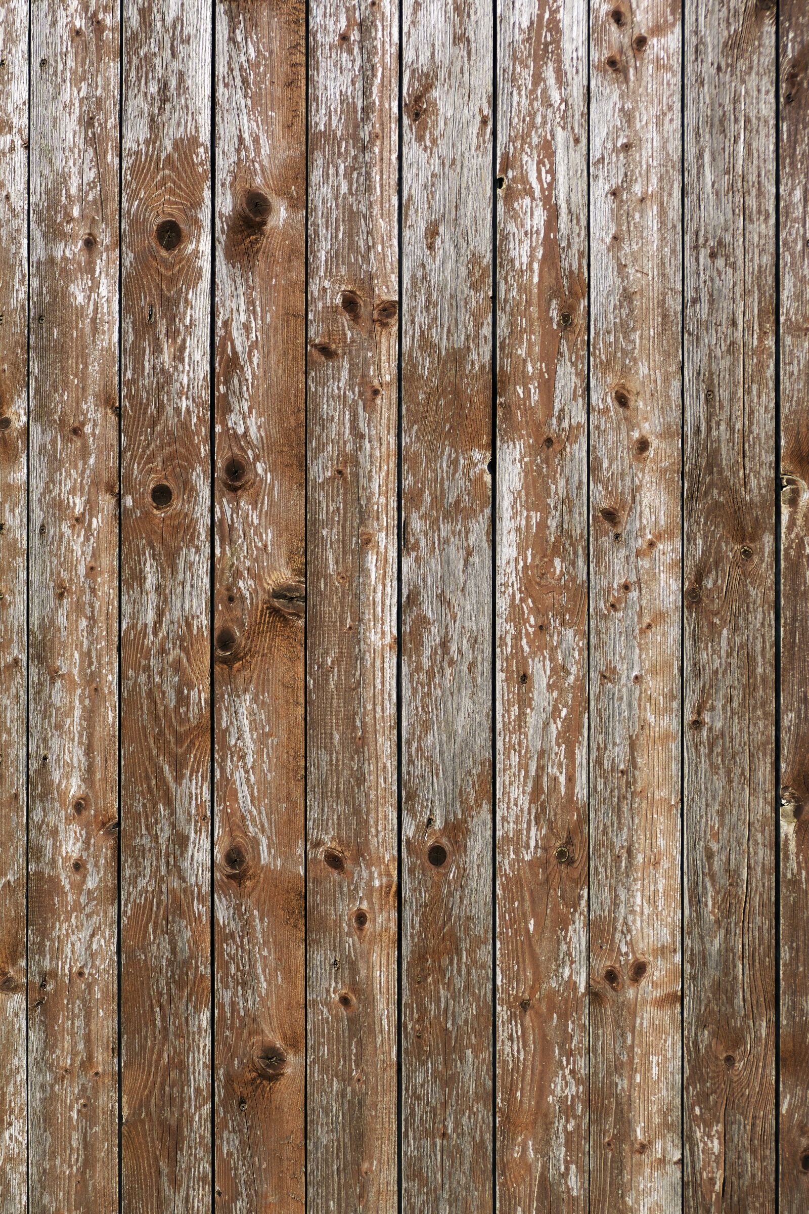 Panasonic Lumix DMC-FZ1000 sample photo. Wood, boards, wooden wall photography