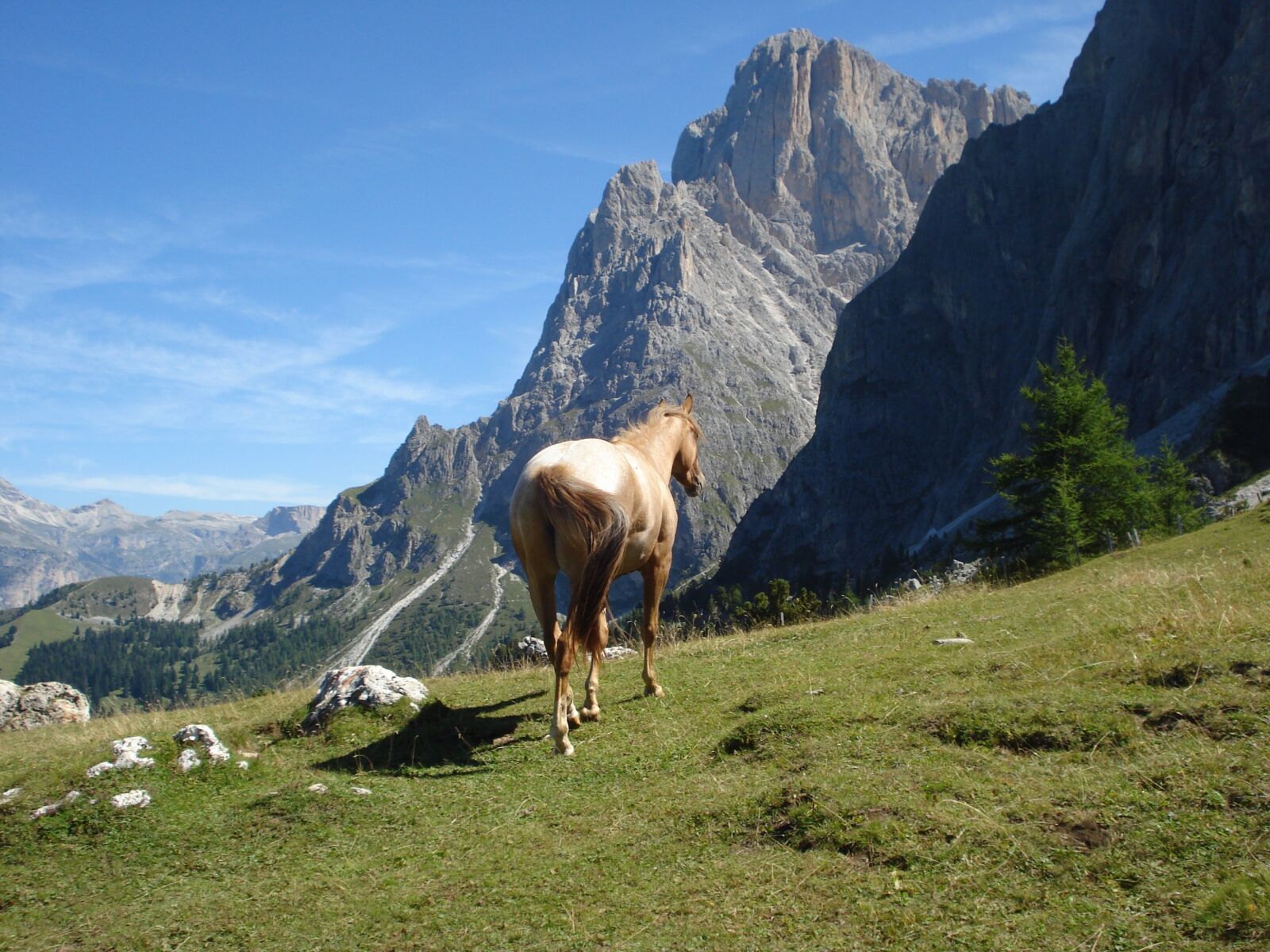 Sony DSC-W55 sample photo. Dolomites, val gardena, south photography