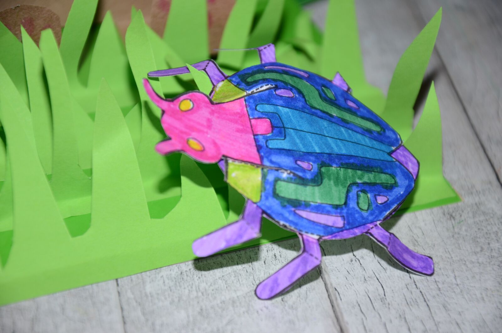 Nikon D7000 sample photo. Beetle, paper, odd job photography