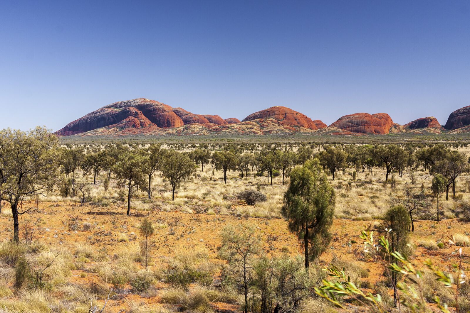 Canon EOS 40D sample photo. Australia, kata-tuita, northern territory photography
