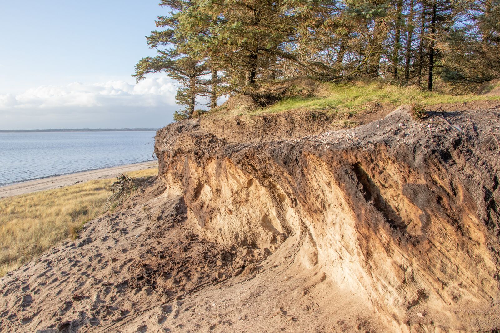 Canon EF-S 18-135mm F3.5-5.6 IS USM sample photo. Marbæk, esbjerg, landscape photography