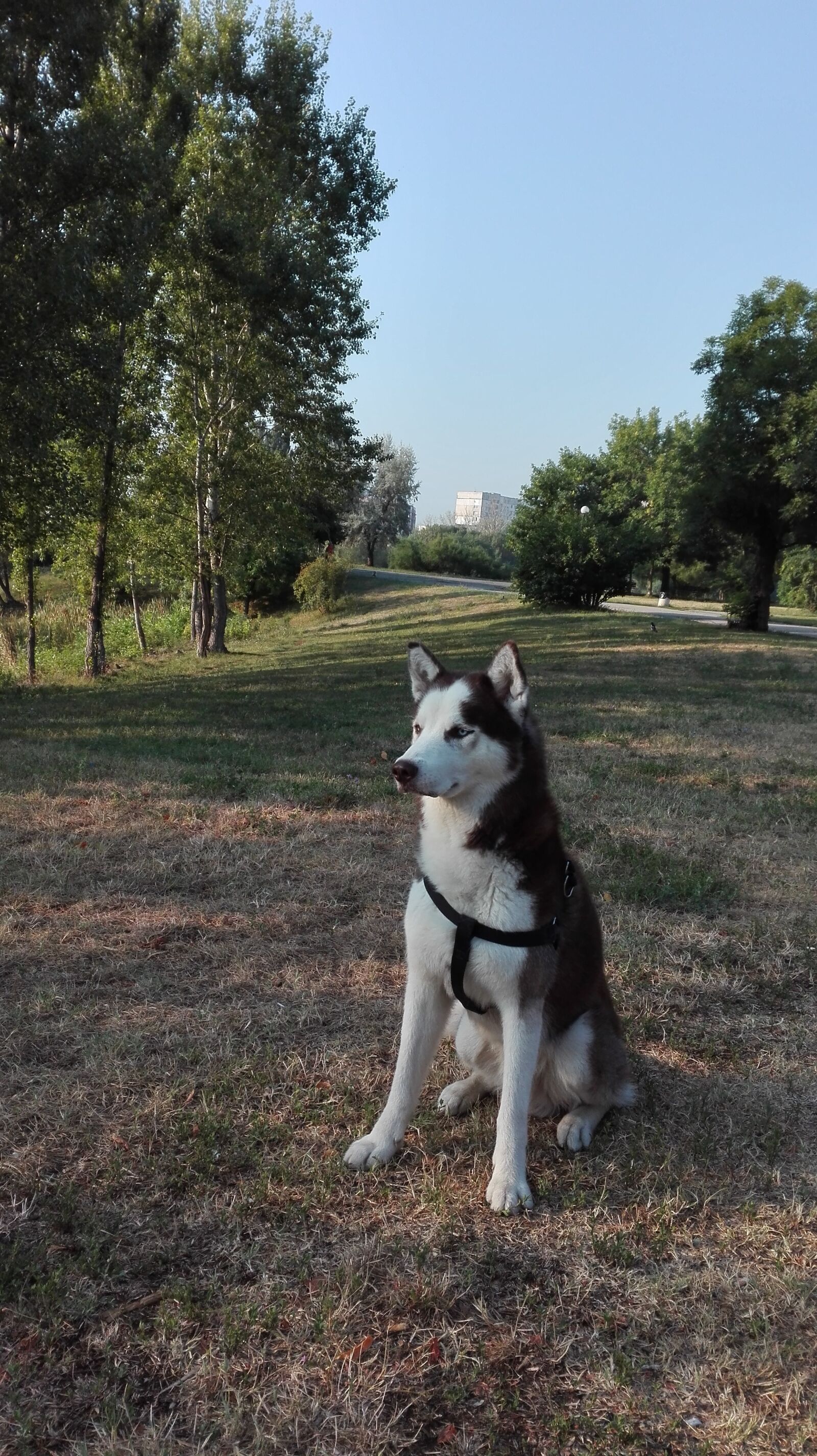 HUAWEI P8 Lite sample photo. Sofia, lake, friendship photography