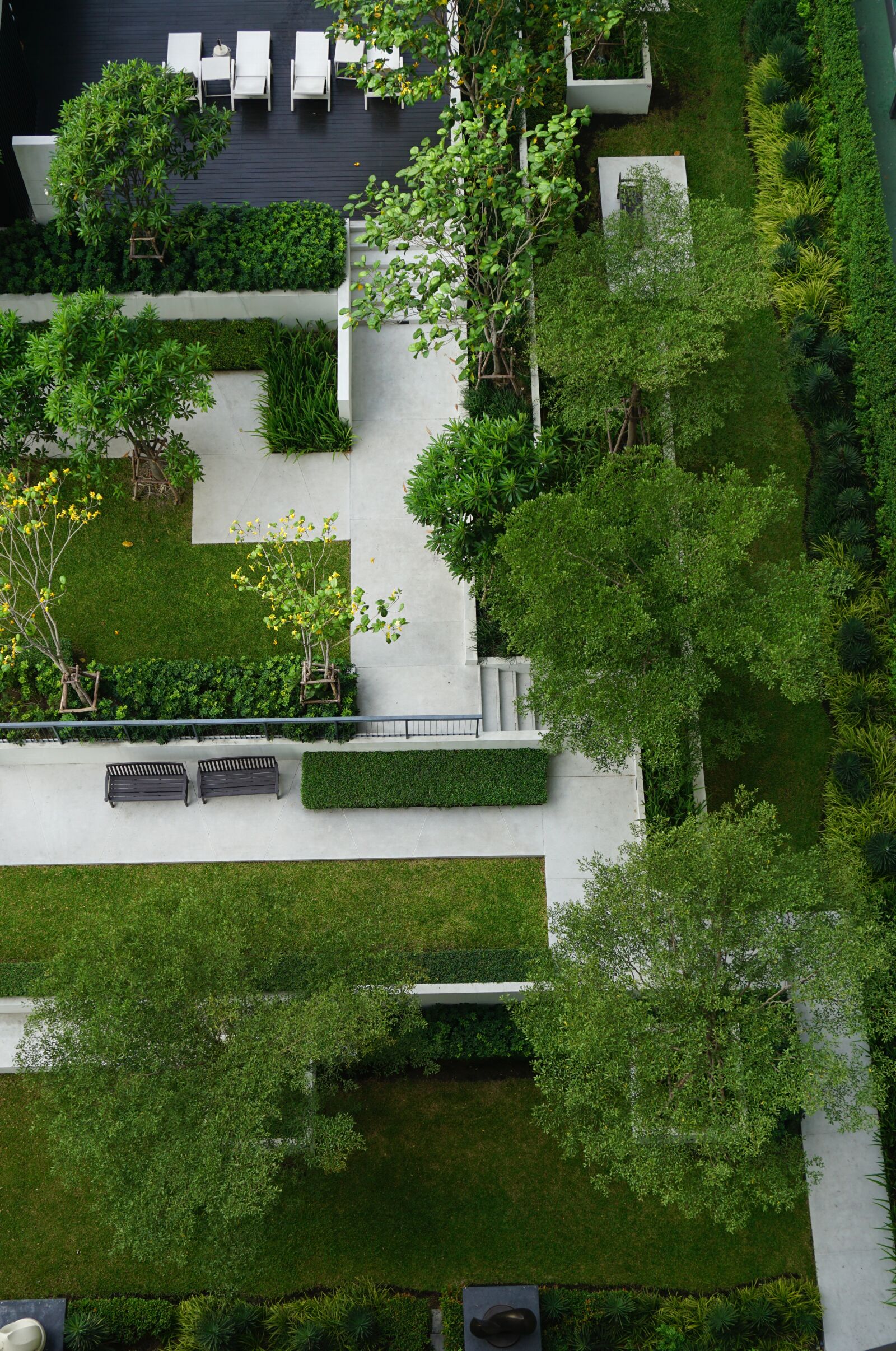 Sony a6000 sample photo. Garden, design, top view photography