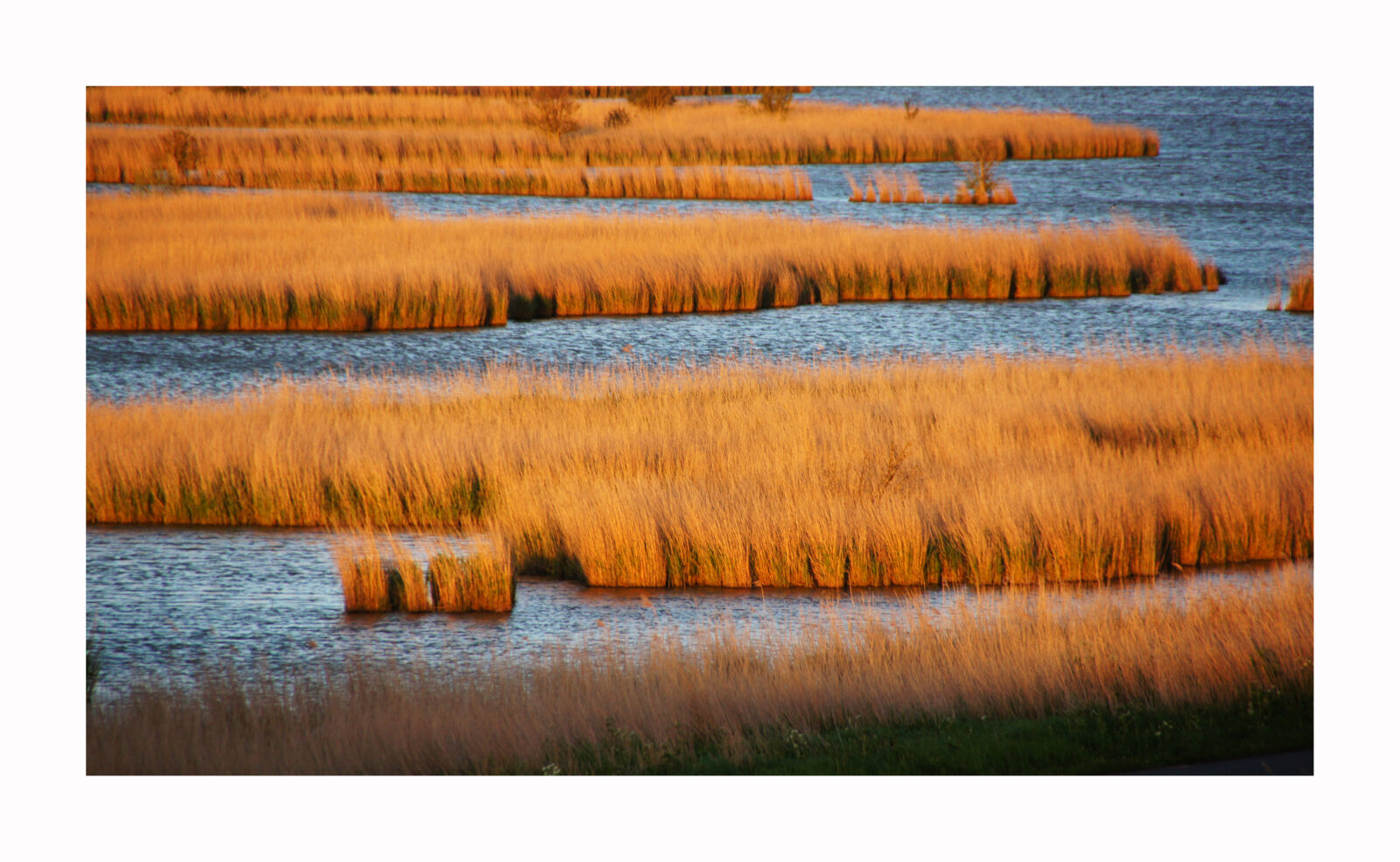 Sony SLT-A55 (SLT-A55V) sample photo. Daylight, grass, greetsiel, lake photography