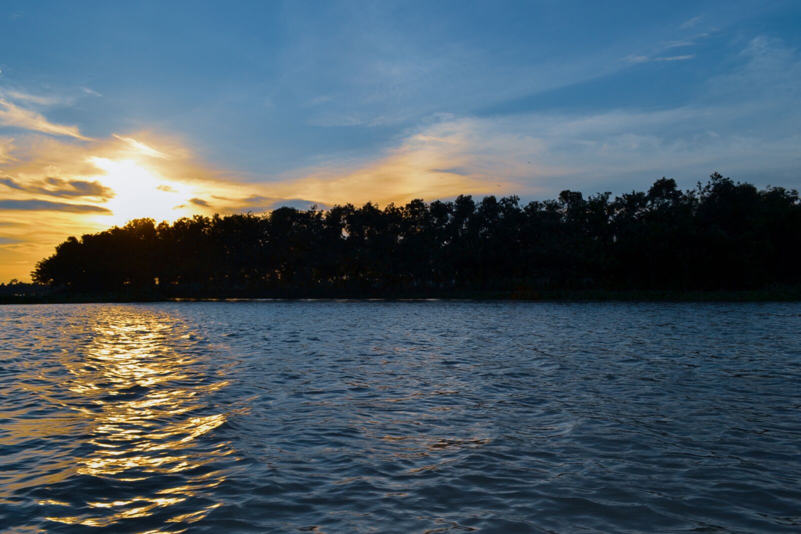 Nikon D3100 sample photo. Lake, pond, forest photography