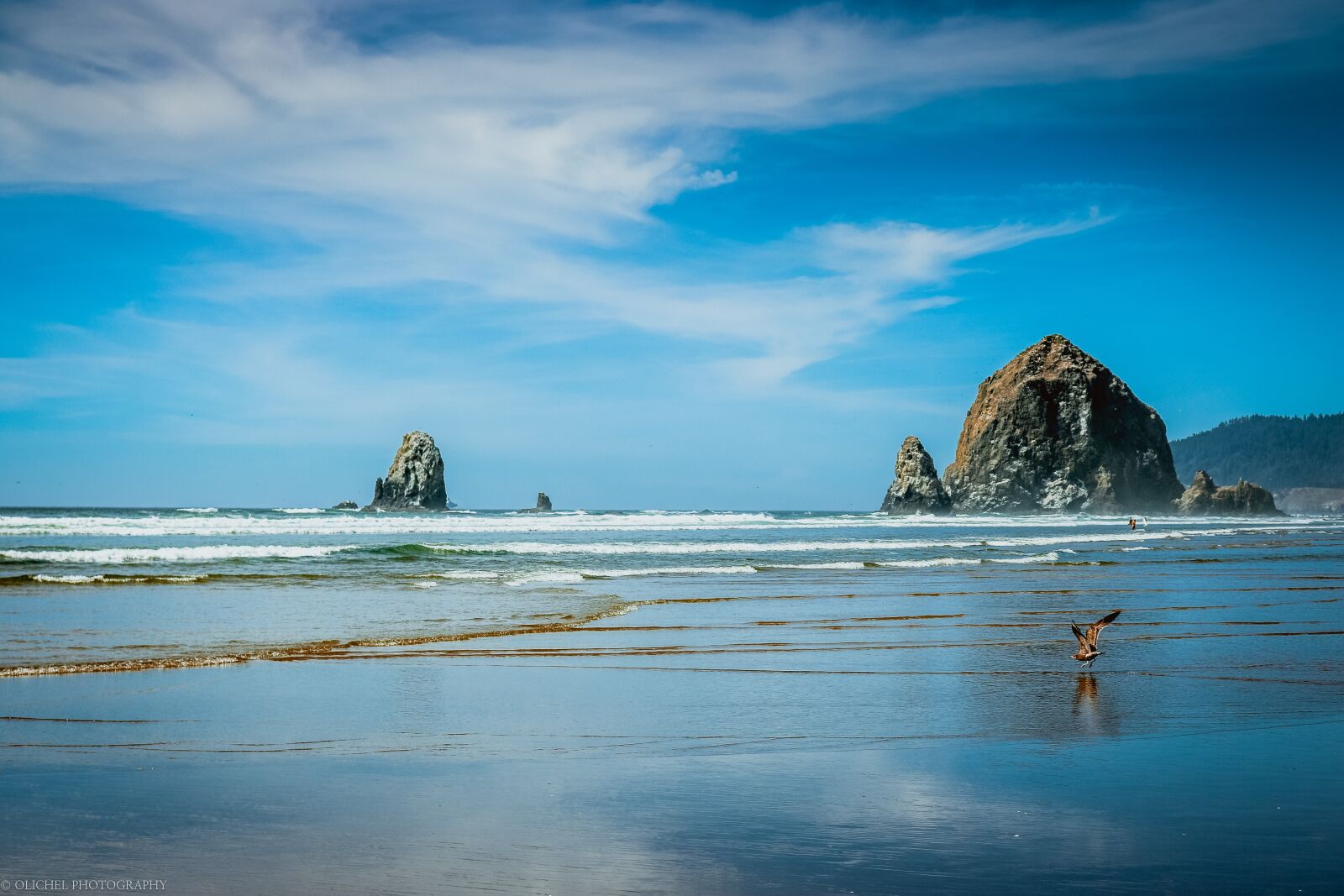 Canon EOS 750D (EOS Rebel T6i / EOS Kiss X8i) sample photo. Beach, oregon, sand photography