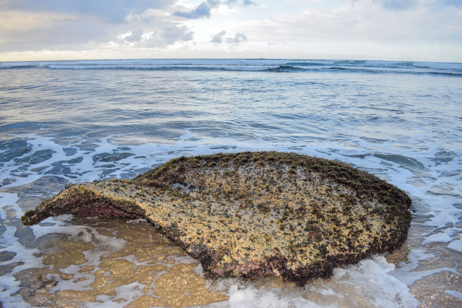 Nikon D3300 sample photo. Water, sea, nature photography