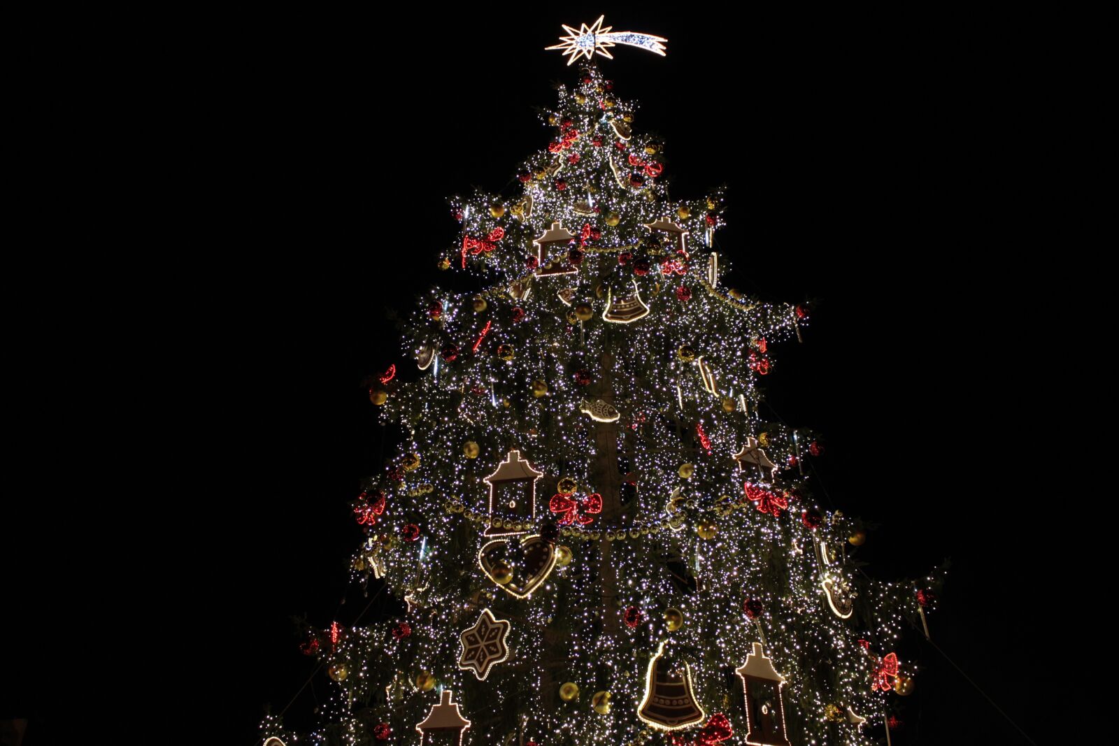 Canon EOS 700D (EOS Rebel T5i / EOS Kiss X7i) sample photo. Sapling, christmas, trappings photography