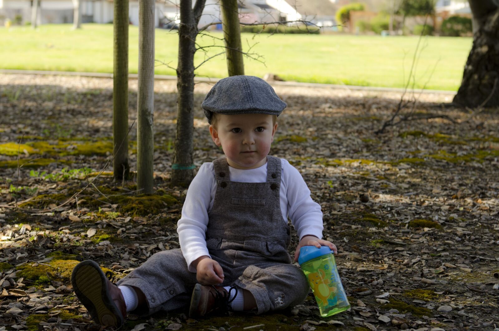 Nikon D7000 sample photo. Boy, cute, toddler photography