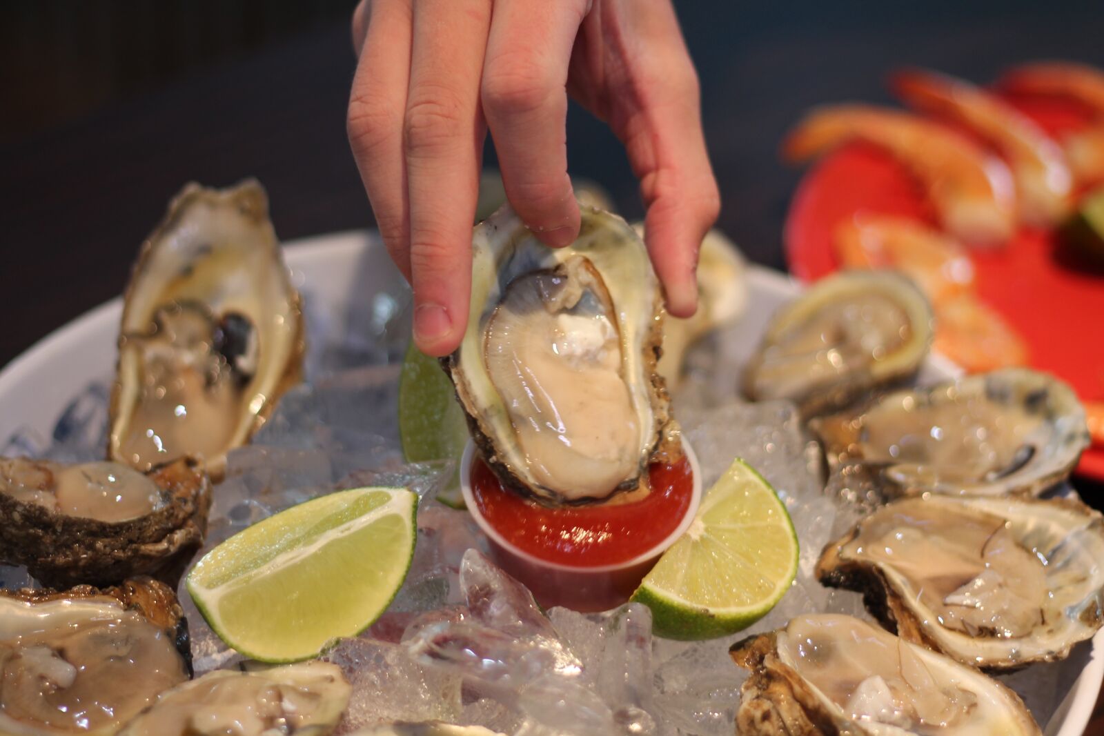 Canon EOS 1100D (EOS Rebel T3 / EOS Kiss X50) sample photo. Oyster, half shell, seafood photography