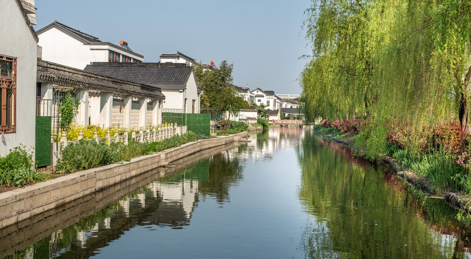 Nikon D600 sample photo. Jiangsu, water, willow photography