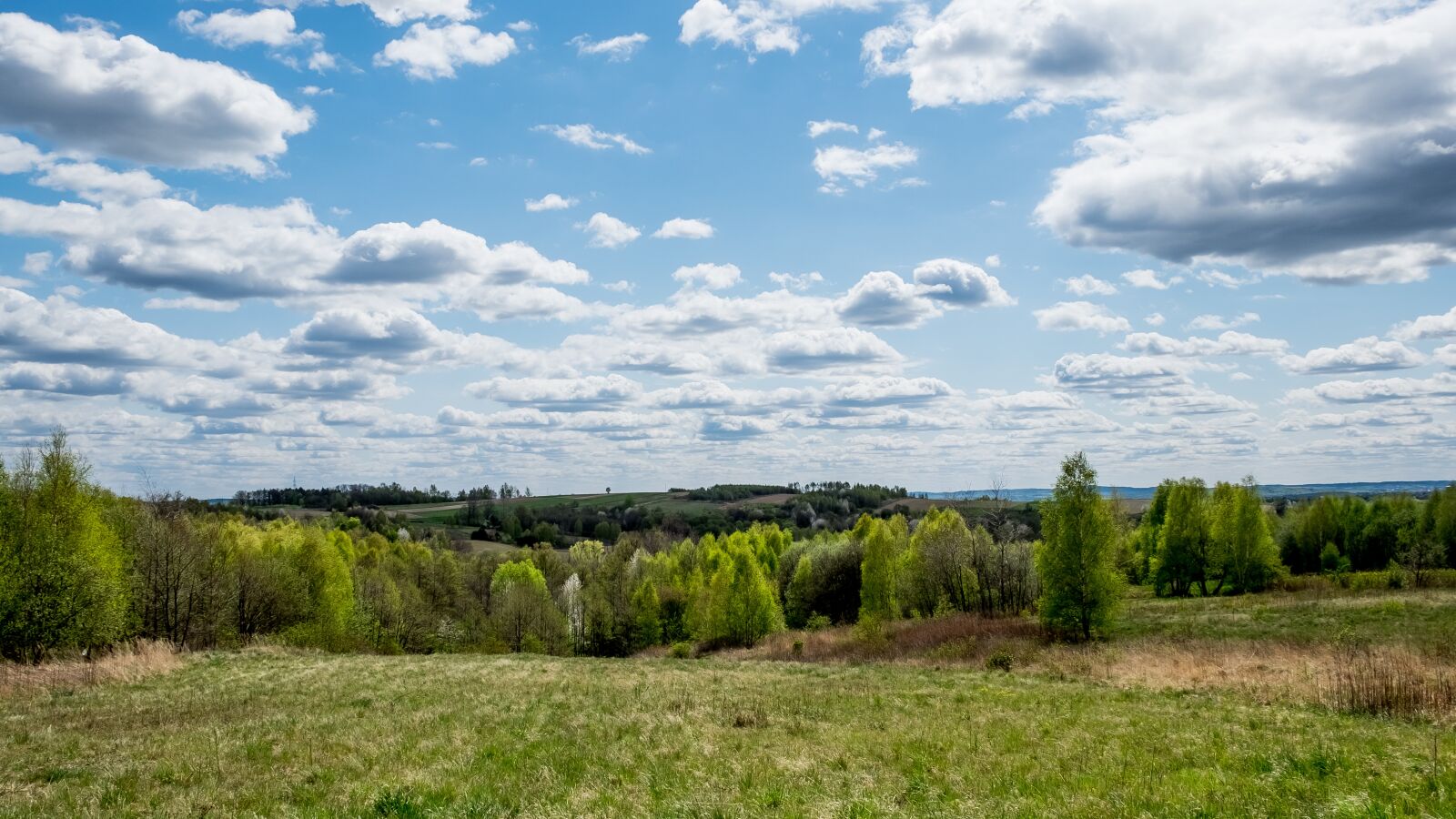 Fujifilm X-T10 sample photo. Landscape, poland, sky photography