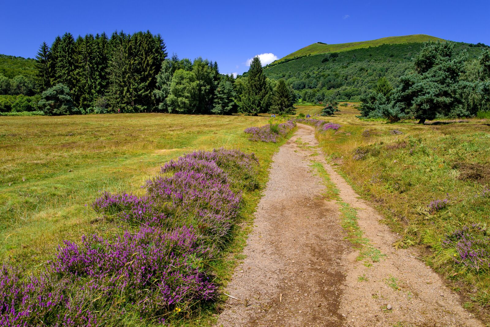 Pentax K-1 Mark II sample photo. Landscape, countryside, path photography