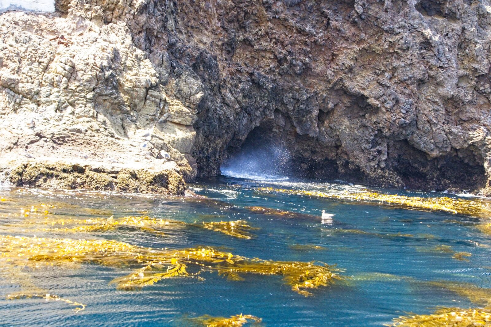 Sony a6300 sample photo. Ocean, rocks, island photography