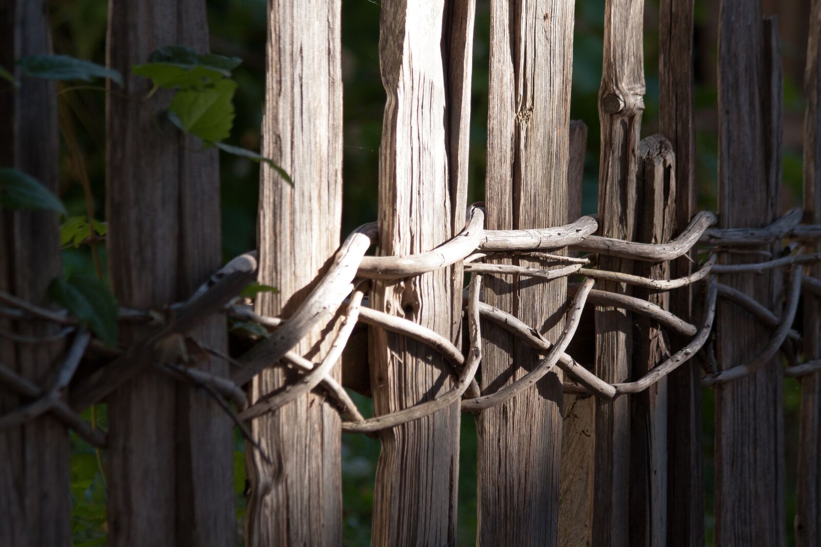 Canon EOS 50D sample photo. Fence, wood, wattle photography