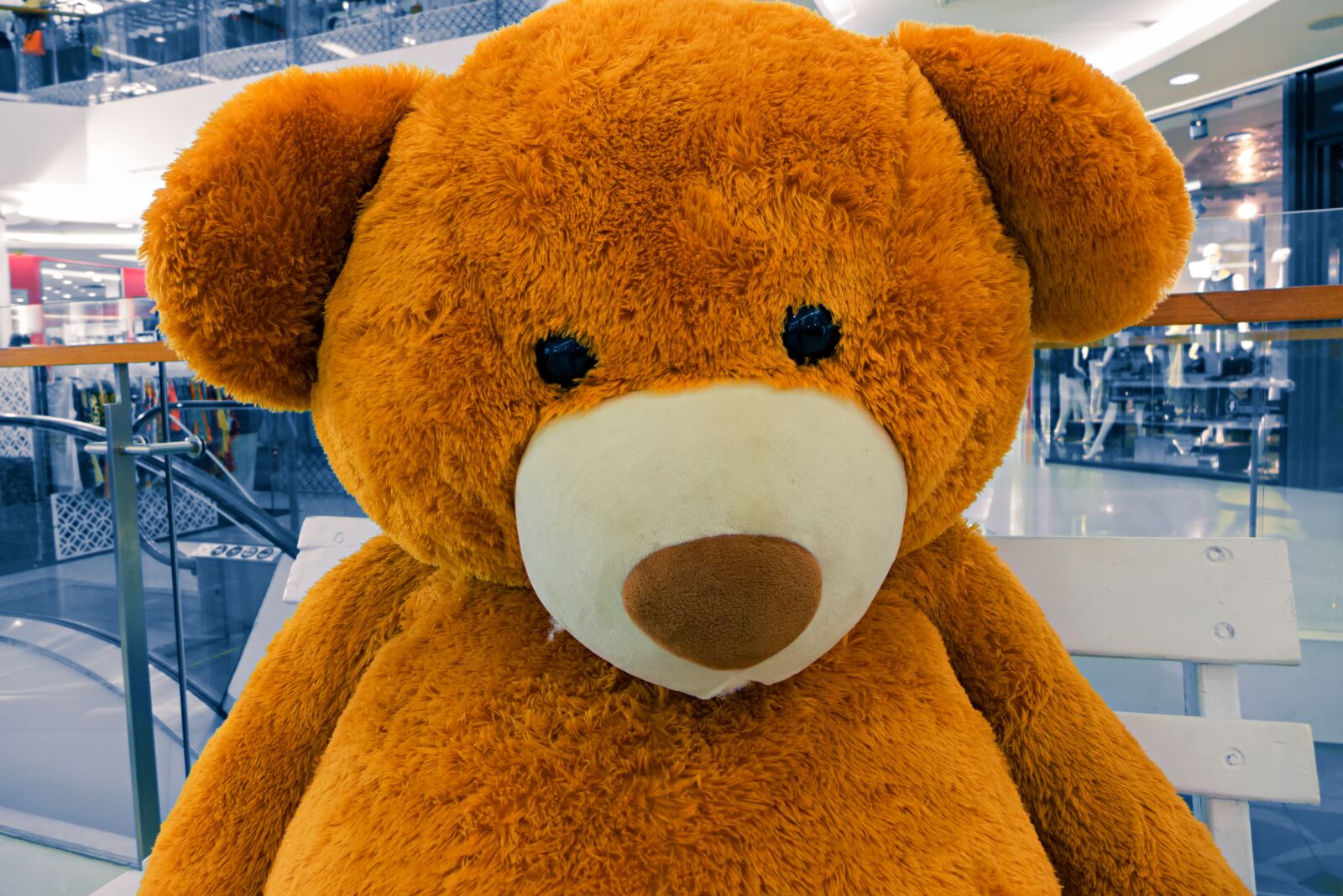 Panasonic Lumix DMC-LX7 sample photo. Teddy bear, teddy, toys photography
