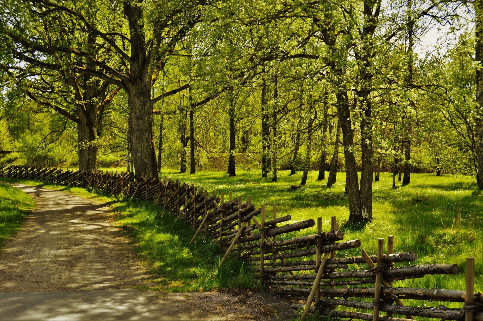 Nikon D3200 sample photo. Fence, summer, sweden photography