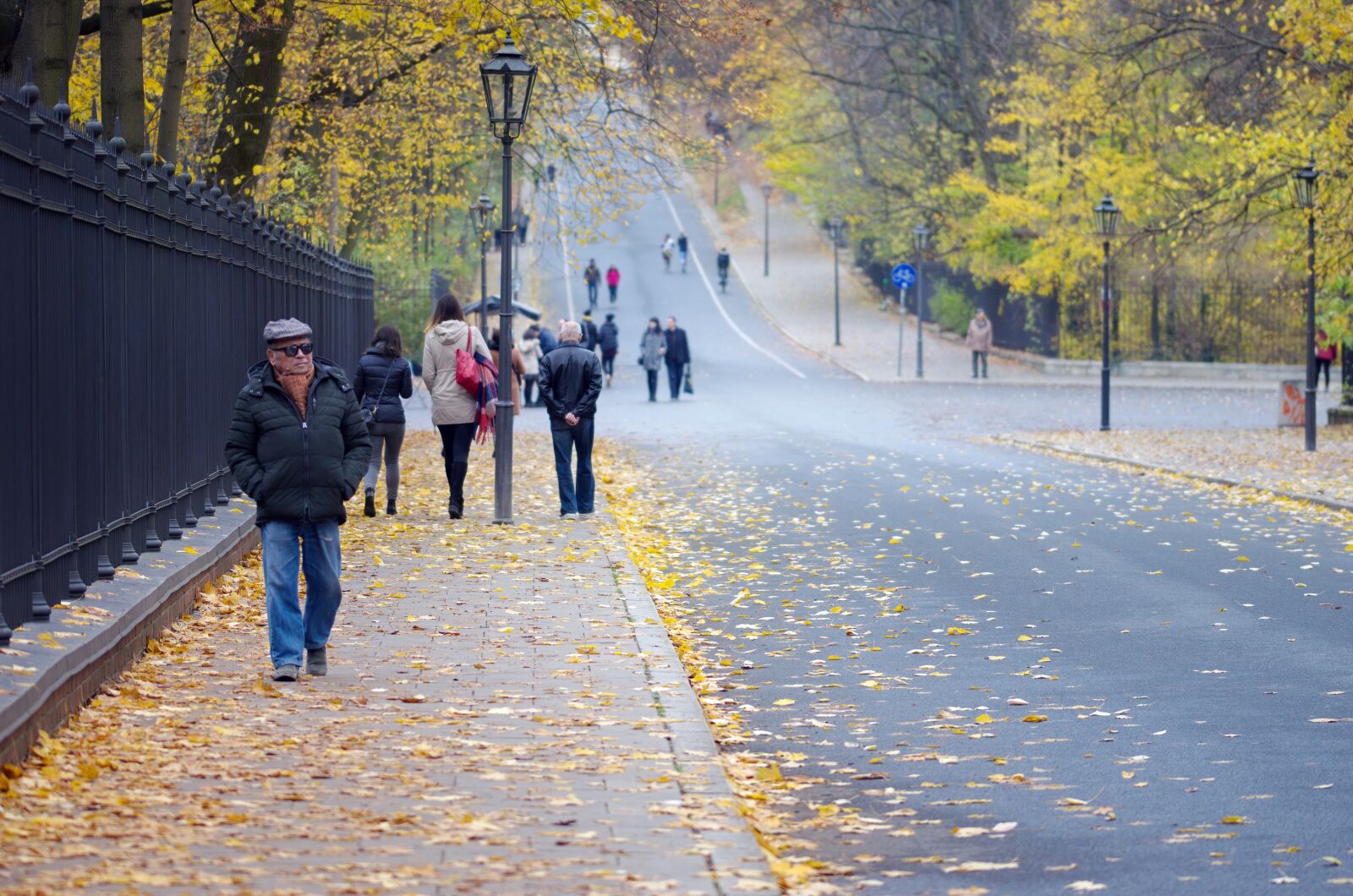Nikon D5100 sample photo. Road, park, people photography