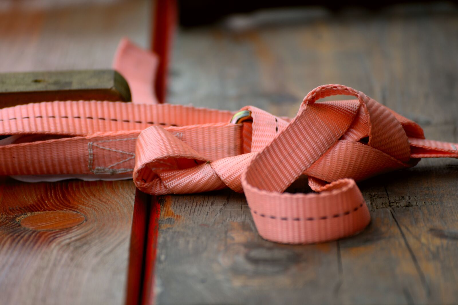 Nikon D610 sample photo. Belt, fixing, security photography