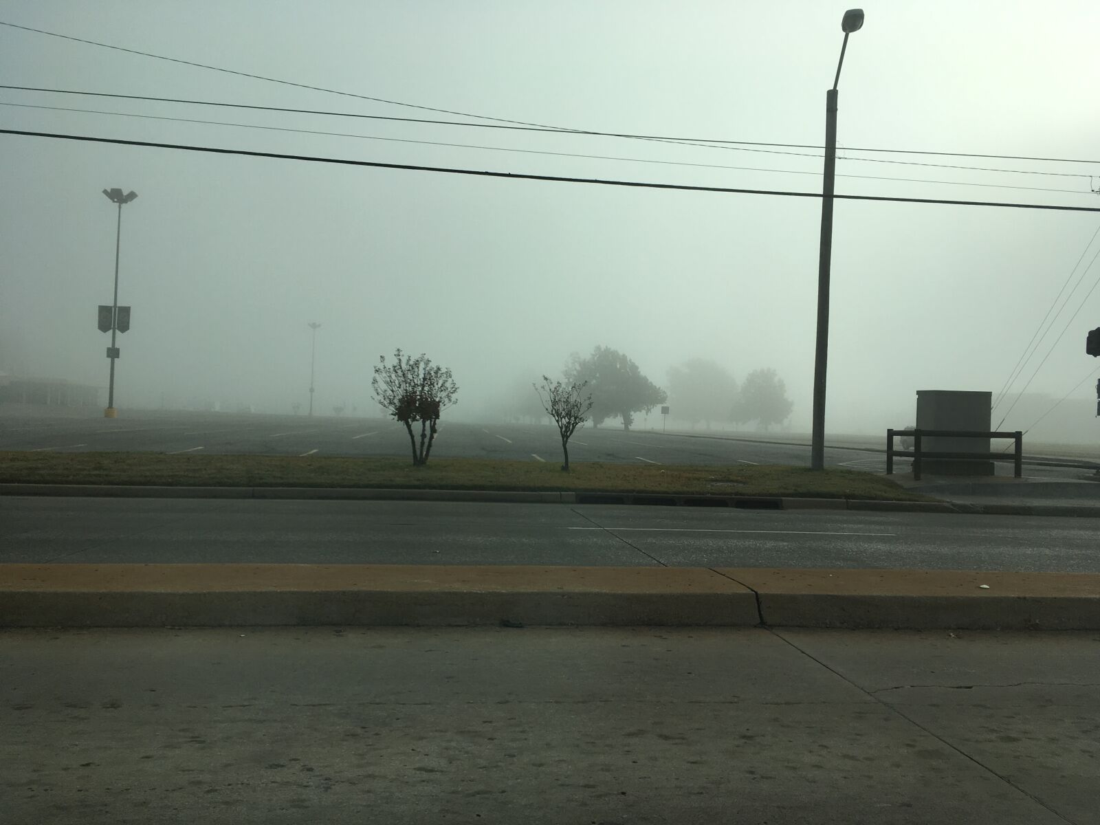 Apple iPhone SE sample photo. Early, morning, fog, fog photography