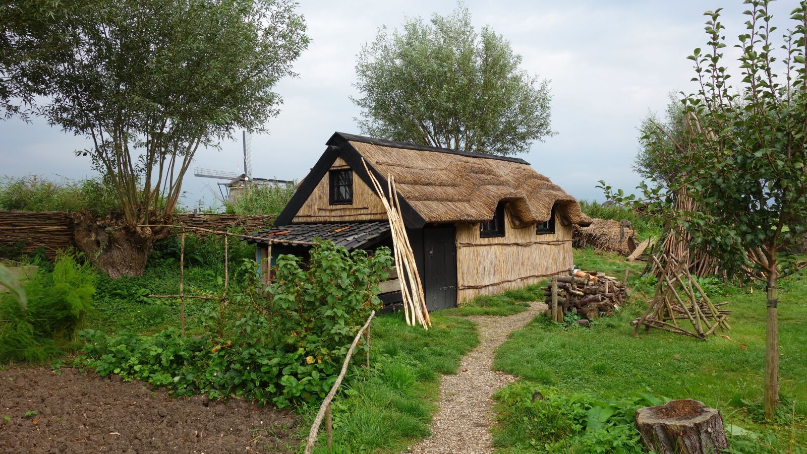 Sony Cyber-shot DSC-RX100 sample photo. Thatched roof, riethuis, nationwide photography