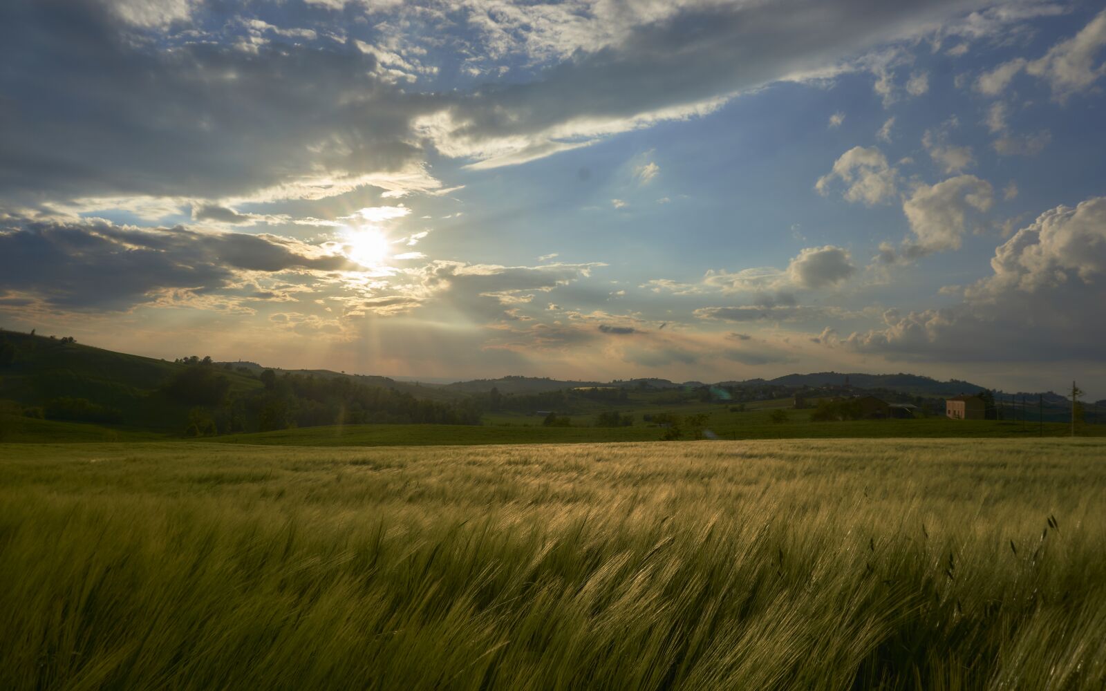 Sony a6000 + Sony E PZ 16-50 mm F3.5-5.6 OSS (SELP1650) sample photo. Sunset, nature, wheat photography