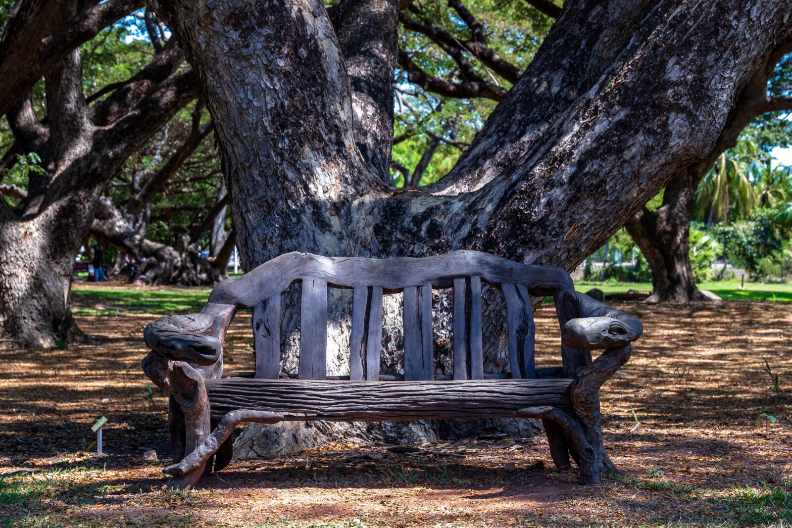 Canon 24-105mm F4 DG OS HSM | Art 013 sample photo. Seat, bench, park bench photography