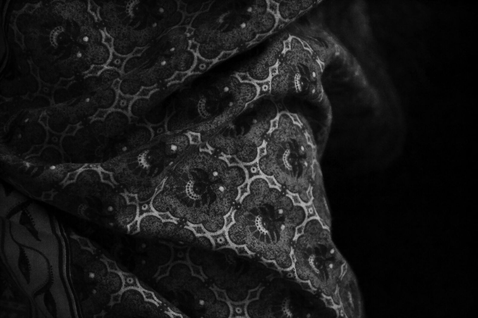 Nikon D3100 sample photo. Grayscale, photo, of, textile photography