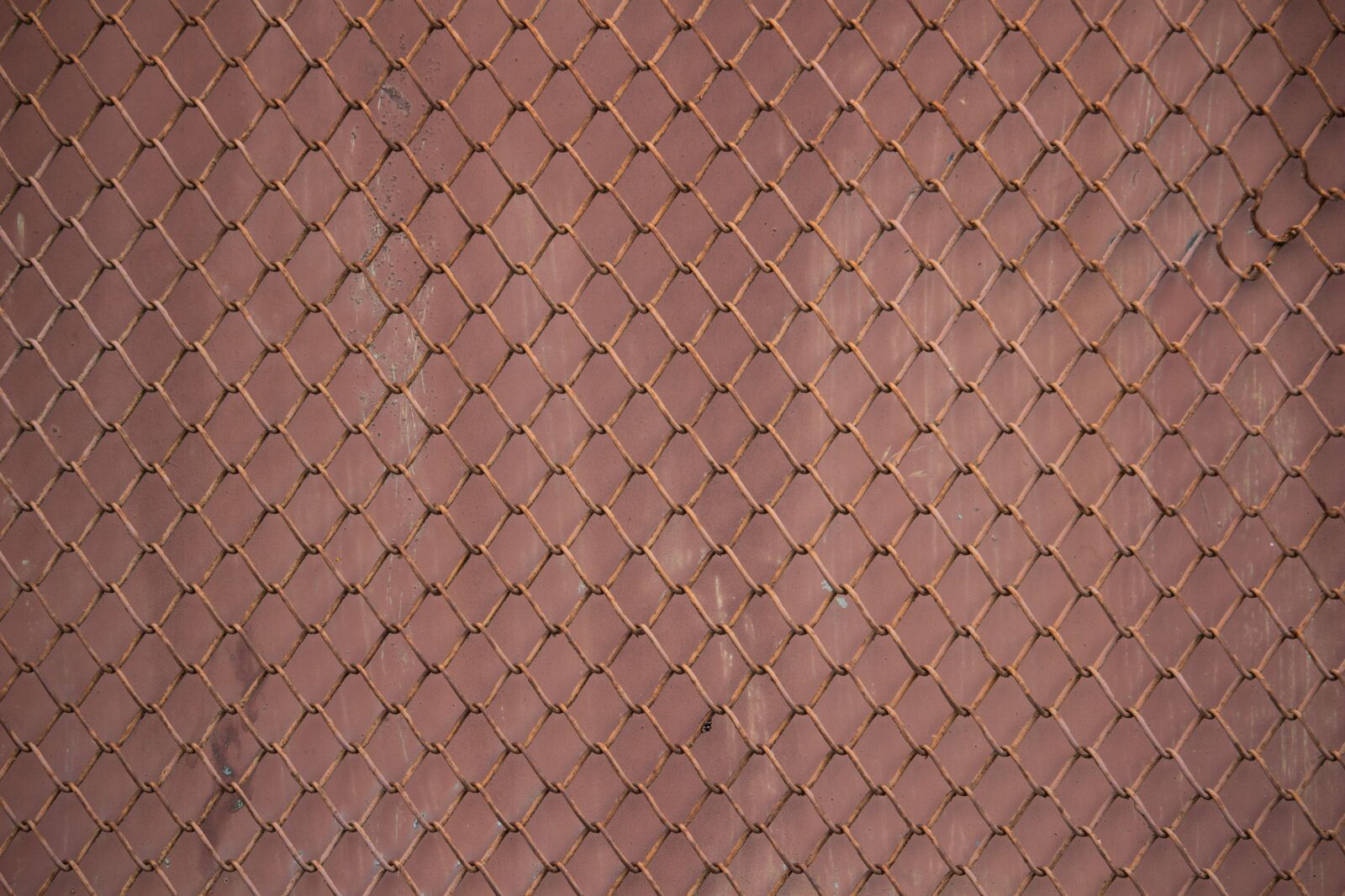 Canon EOS 100D (EOS Rebel SL1 / EOS Kiss X7) sample photo. Fence, fence grid, grid photography