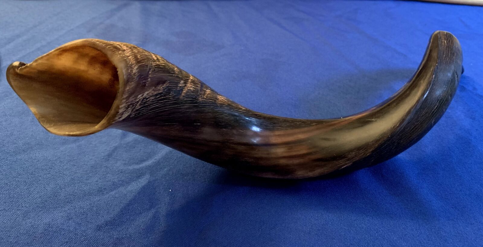 iPhone XR back camera 4.25mm f/1.8 sample photo. Shofar, jewish, holiday photography