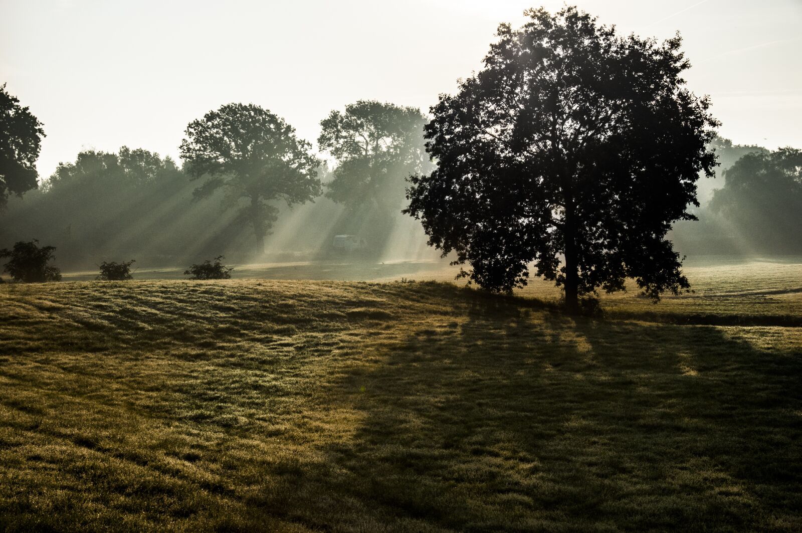 Nikon D90 sample photo. Landscape, autumn, tree photography