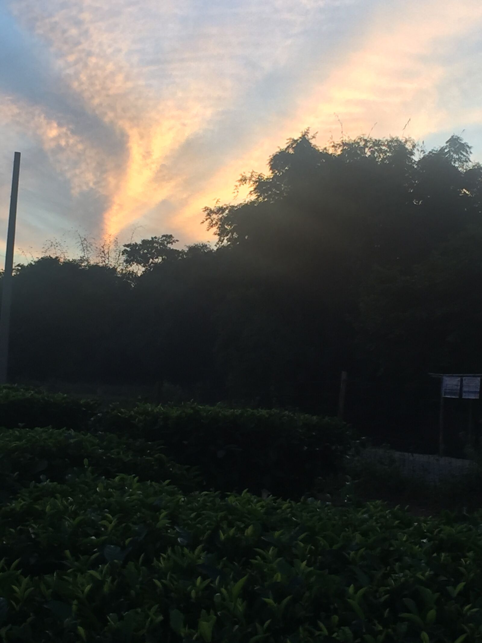 iPhone 6 back camera 4.15mm f/2.2 sample photo. India, nature, landscape photography