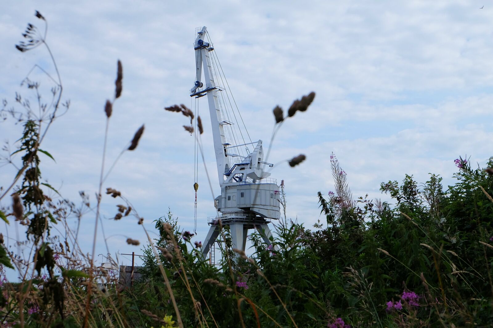 Fujifilm X-A2 + Fujifilm XC 16-50mm F3.5-5.6 OIS II sample photo. Crane, nature, sky photography