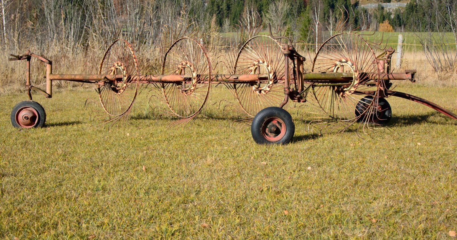 Nikon D7100 sample photo. Hay tedders, hay, grass photography