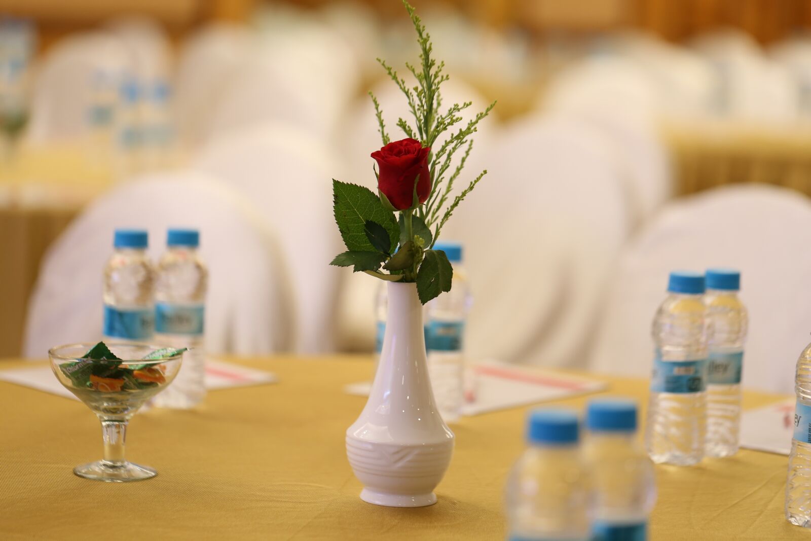 Canon EF 100mm F2.8L Macro IS USM sample photo. Table, desktop, decoration photography