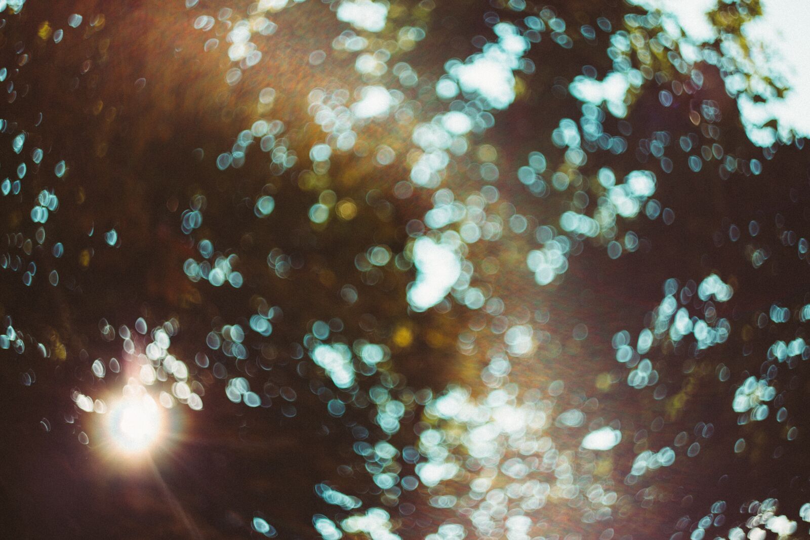 Canon EOS 6D sample photo. Nature, abstract, background photography