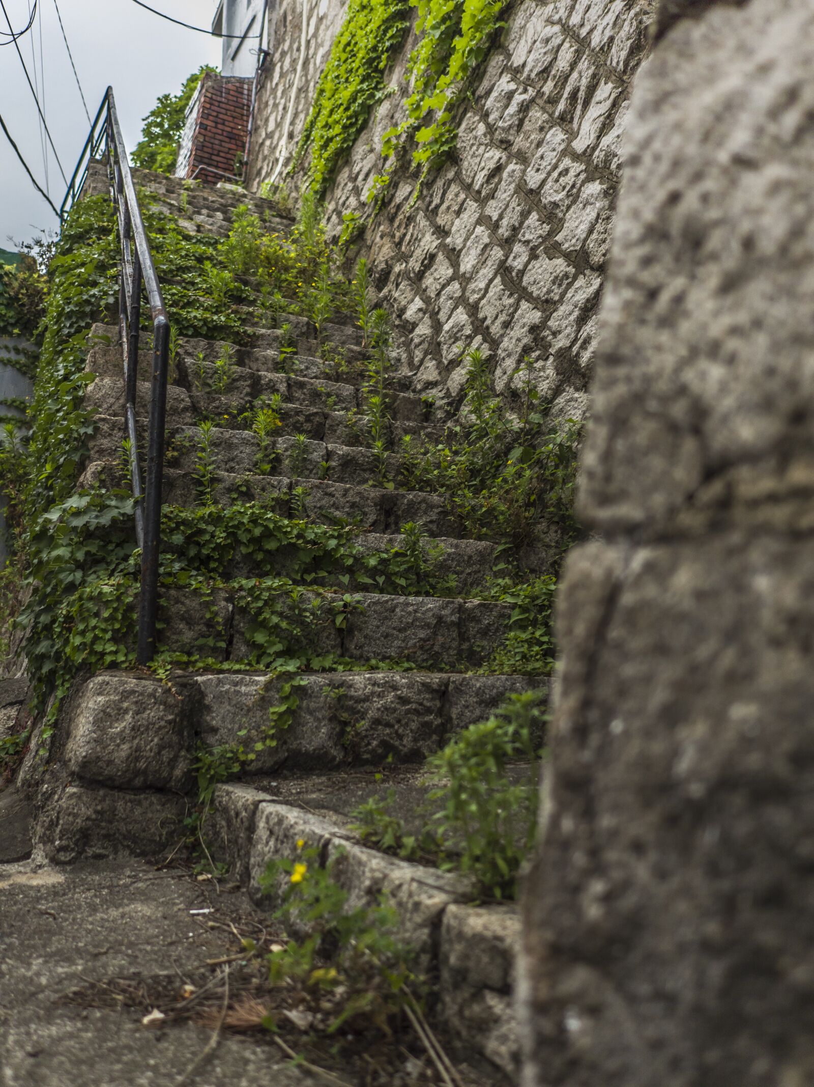 DJI MFT 15mm F1.7 ASPH sample photo. Stone, stairs, neglected photography